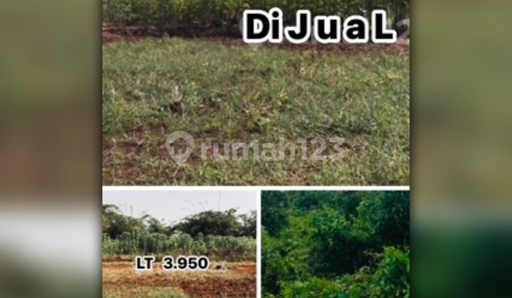 Dijual Tanah di Gorowong, Bogor