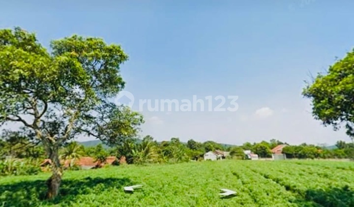 Dijual Tanah Kebun Siap Bangun 3000 m2 di Parung Hijau Bogor Dijual Tanah Kebun Siap Bangun 3000 m2 di Parung Hijau Bogor