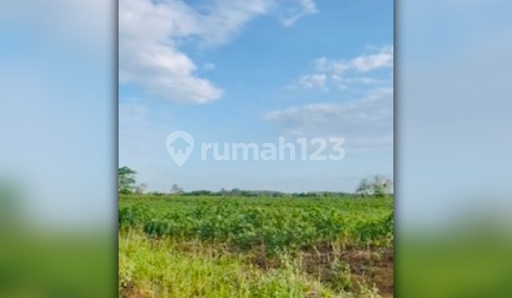 Dijual Tanah di Tanjung Ratu Ilir, Lampung Tengah