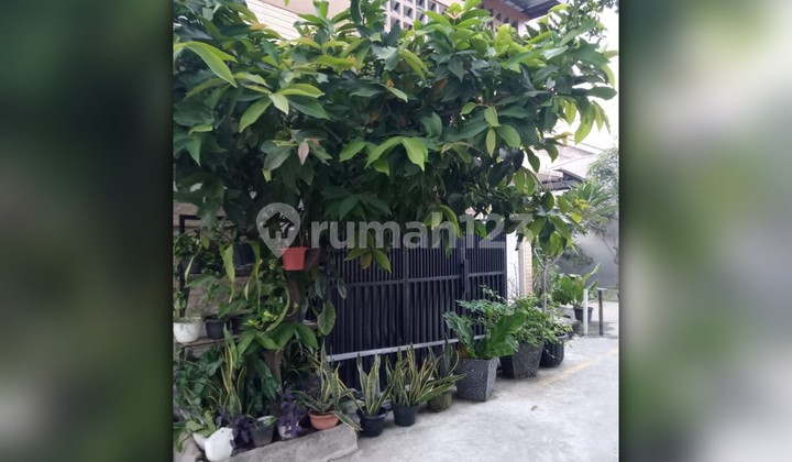 Dijual Rumah Siap Huni dan Strategis di Pesona Anggrek Harapan Bekasi Utara Dijual Rumah Siap Huni dan Strategis di Pesona Anggrek Harapan Bekasi Utara