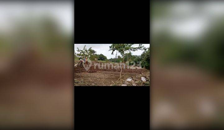 Dijual Lahan Pinggir Jalan Raya Ciseeng Bogor 2