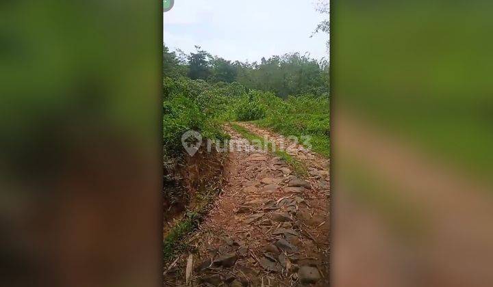 Dijual Lahan Kering Luas 43 Hektar di Jonggol Bogor 1