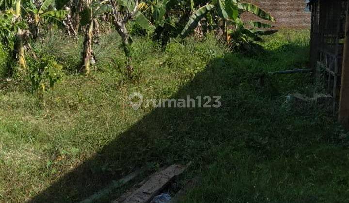 Jual Tanah di Jl Jatisari, Ngoro, Mojokerto SHM 5