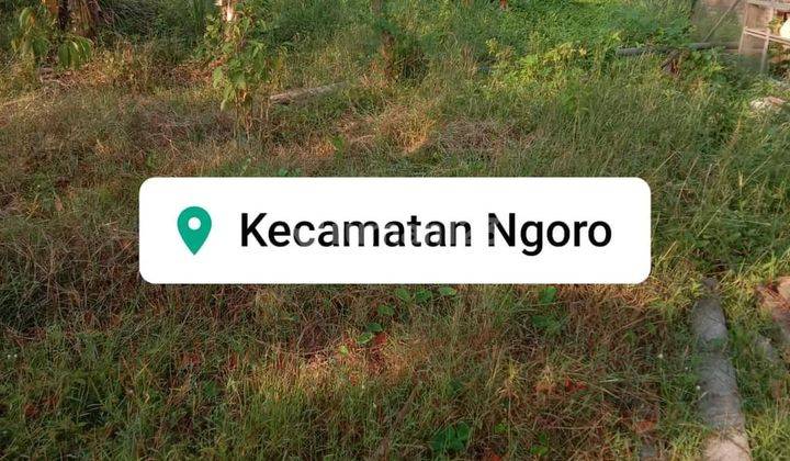 Jual Tanah di Jl Jatisari, Ngoro, Mojokerto SHM 8