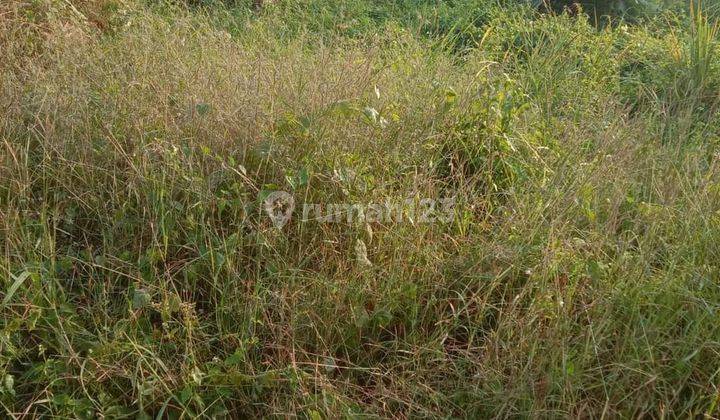 Jual Tanah di Jl Jatisari, Ngoro, Mojokerto SHM 9