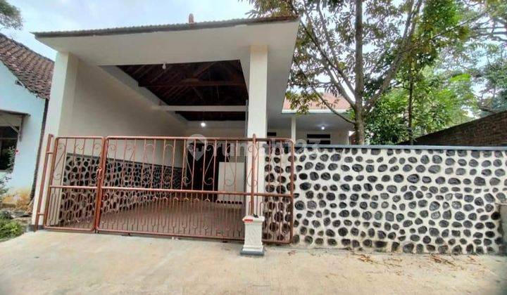 JualbCepat Rumah di Sentul Purwodadi Pasuruan Jawa Timur SHM 1