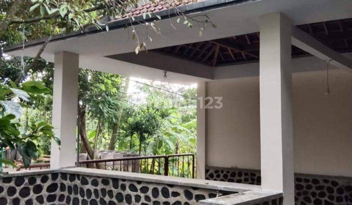 JualbCepat Rumah di Sentul Purwodadi Pasuruan Jawa Timur SHM 14