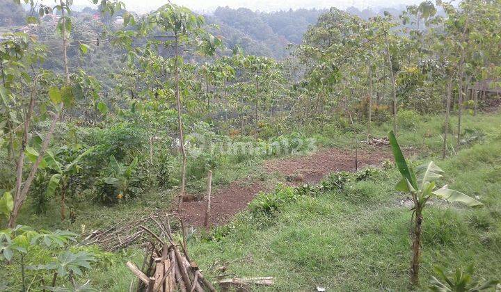 tanah luas murah di lembang kolonel masturi strategis jalan raya utama cocok untuk hotel villa restoran view pemandangannya bagus dekat obyek wisata lembang 2