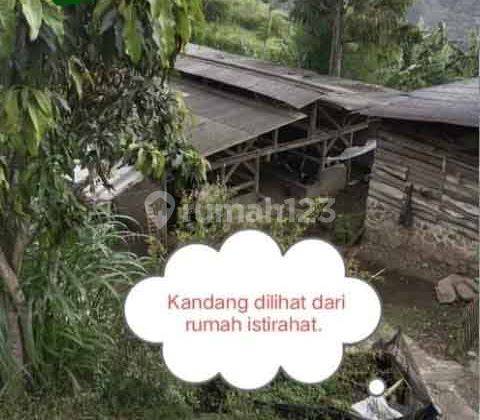 Jual Tanah Kandang Sapi Cocok Untuk Wisata , Investasi Lembang 1