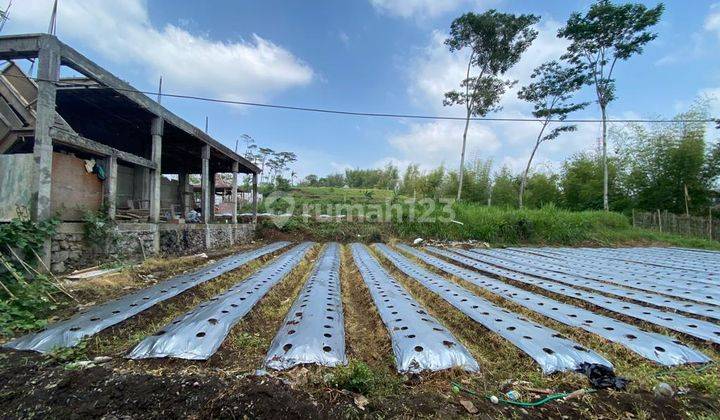 Jual Tanah Murah di Tlogomas Akses Mudah Dekat Pusat Kota 8