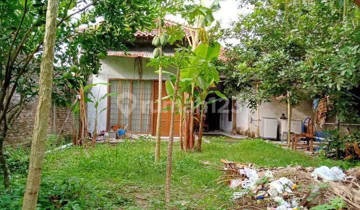 RUMAH MODERN MINIMALIS HALAMAN LUAS DEKAT UMY BANGUNJIWO BANTUL 4