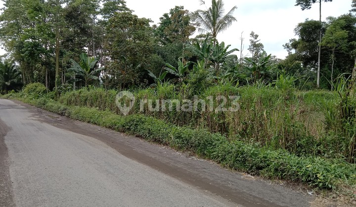 Tanah poros jalan daerah Tumpang strategis 1