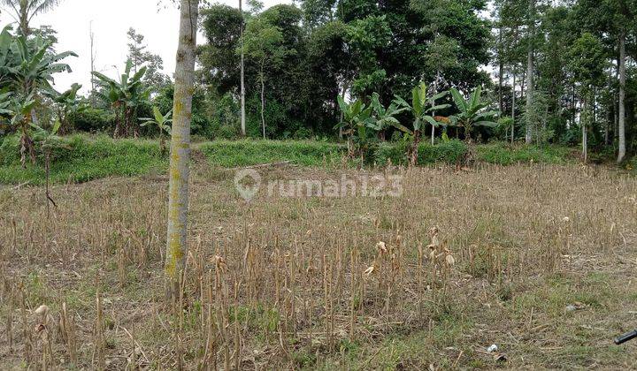 Tanah di poros jalan Paras Tumpang.Luas tanah 18.364 M2. 3