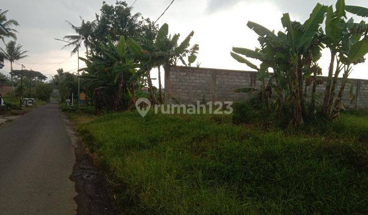 Tanah di daerah Jabung Pakis cocok untuk gudang dan pabrik 3