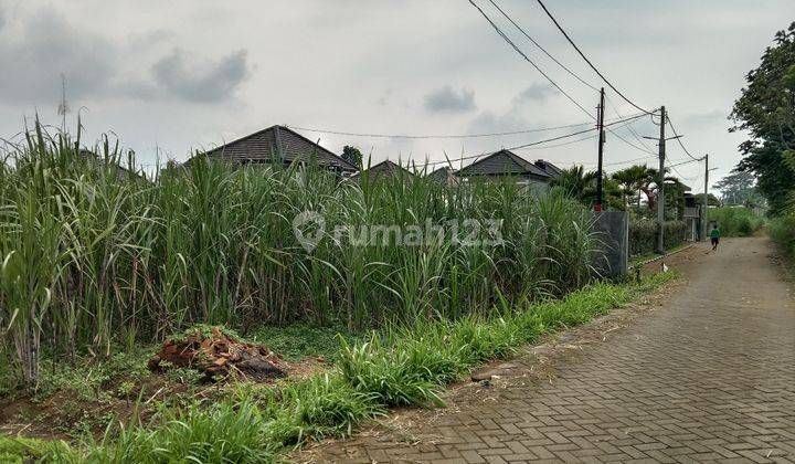 Tanah no jalan aspal di daerah Gatra mapan cocok untuk gudang atau pabrik 1