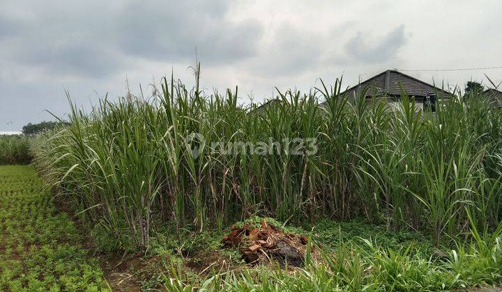 Tanah no jalan aspal di daerah Gatra mapan cocok untuk gudang atau pabrik 4