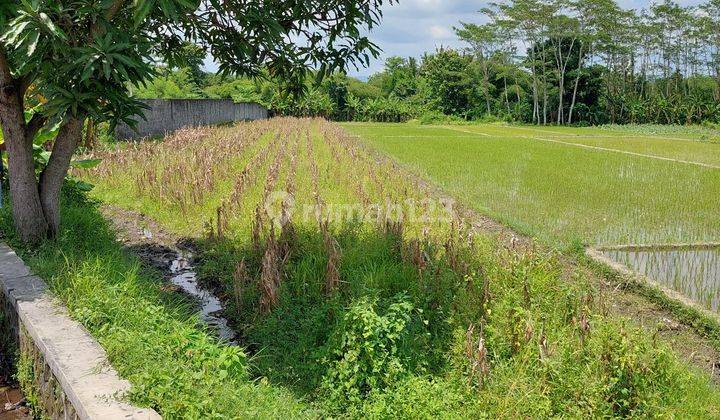 Dijual Tanah Pekarang , Pinggir Jalan. 1