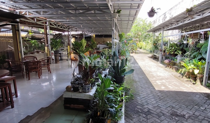 Dijual Tanah Bonus Bangunan. 2