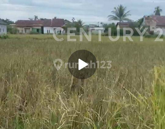 Tanah Kosong Ukuran 10 X 20 Gg. Wanara Sakti Kubu Raya 1