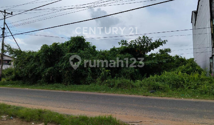 Tanah Siap Bangun Tepi Jalan Imam Bonjol Kota Ketapang Tanah Siap Bangun Tepi Jalan Imam Bonjol Kota Ketapang