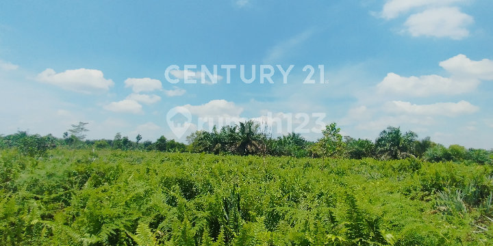 LAND ON OCTOBER 28TH STREET, 50 Meters From the MAIN ROAD LAND ON OCTOBER 28TH STREET, 50 Meters From the MAIN ROAD