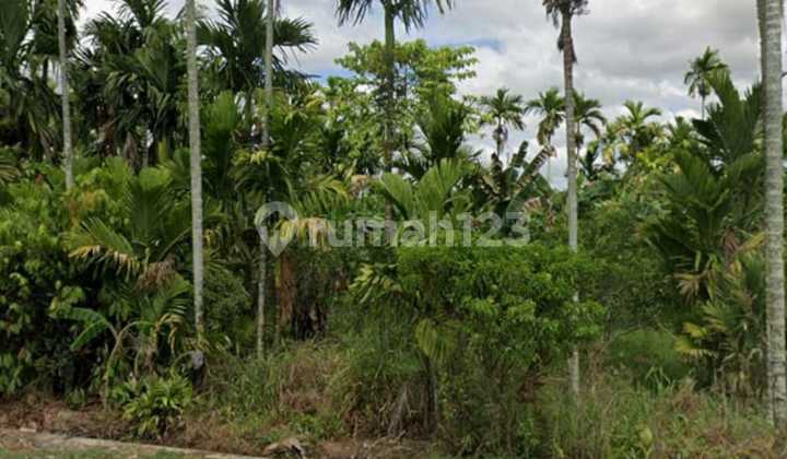 Land by Tebas Main Road - West Kalimantan, Suitable for Cafe, Shop House Building. Land by Tebas Main Road - West Kalimantan, Suitable for Cafe, Shop House Building.