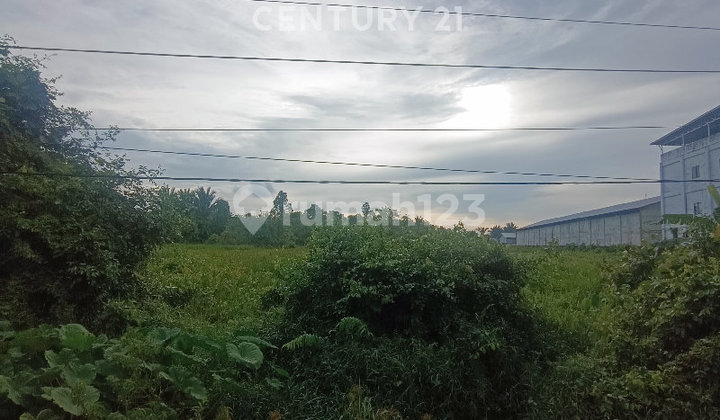 Strategic Land Suitable for Showroom, Hotel, Office, and Business