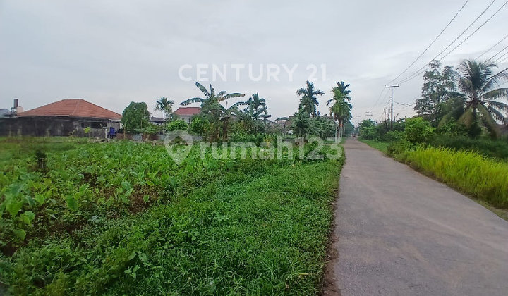 Empty Land Ready to Build on Karya 2 Street Side Empty Land Ready to Build on Karya 2 Street Side