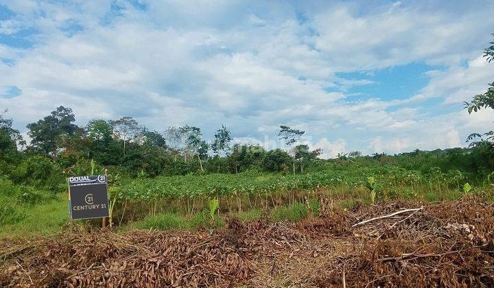 Tanah Kavling Dalam Komplek Jl. Desa Durian 176m2 2