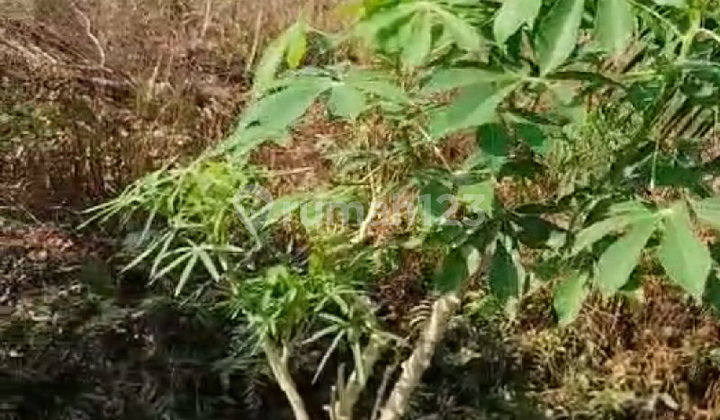 Tanah Strategis Siap Pakai Di Jl. Adisucipto Tanah Strategis Siap Pakai Di Jl. Adisucipto