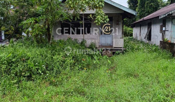 Rumah Dgn Tanah Yg Luas Gg. Anom Aliami Tanjung Hulu 1