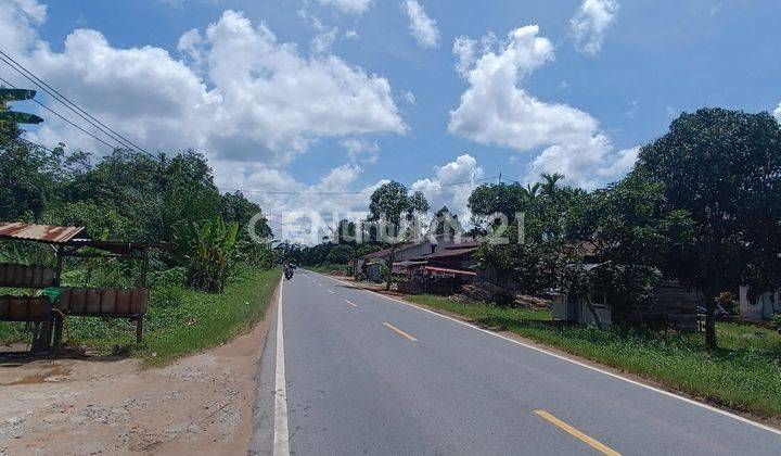 Tanah Siap Pakai Di Jalan Transkalimantan 2