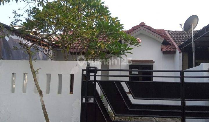 Di Sewa Rumah Dekat Mall Ciputra  1