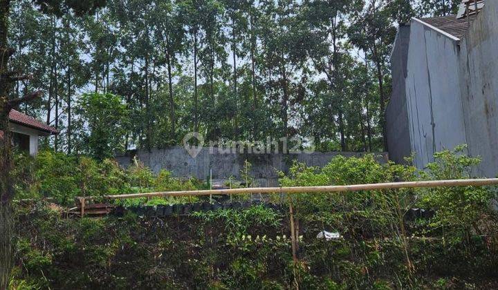 Tanah Lokasi Ideal di Setra Duta Cemara Bandung Utara 2