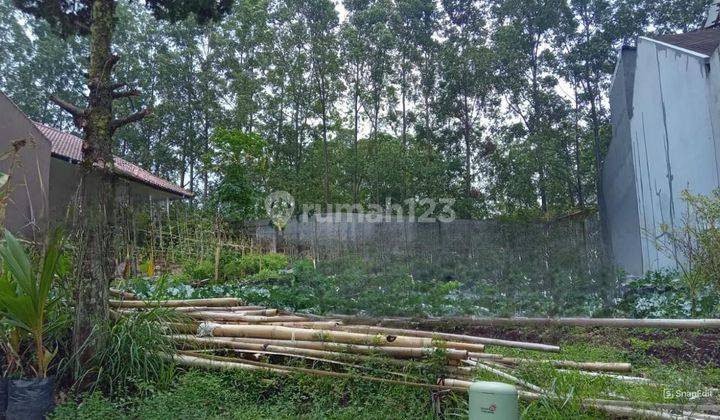 Tanah Lokasi Ideal di Setra Duta Cemara Bandung Utara 1