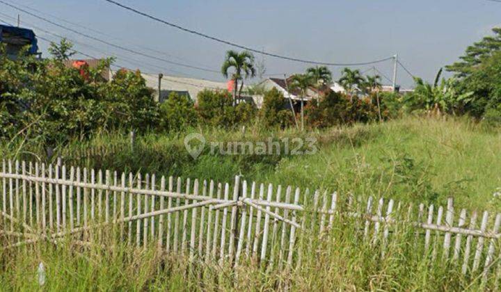 Di Jual Cepat dan Murah Tanah Sawah Luas Di Kabupaten Bandung 1