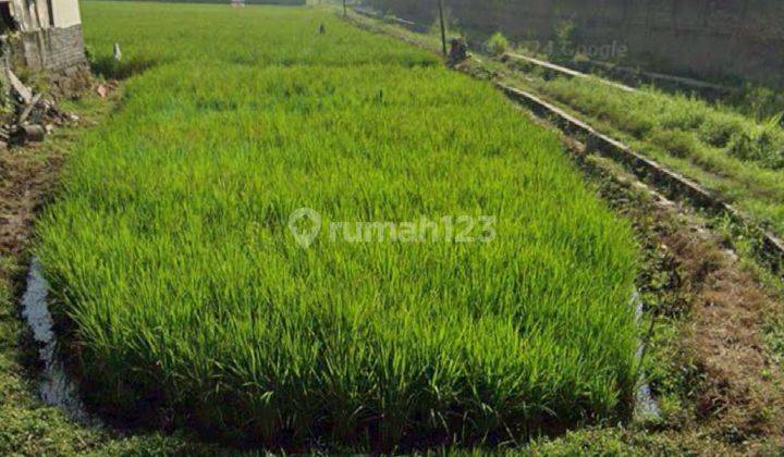 Di Jual Cepat dan Murah Tanah Sawah Luas Di Kabupaten Bandung 2