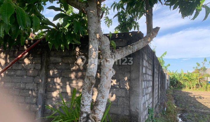 Tanah Kavling Siap Bangun Strategis Tengah Kota Denpasar 6