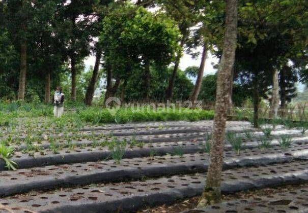 Jual Tanah di Bandung Utara 1
