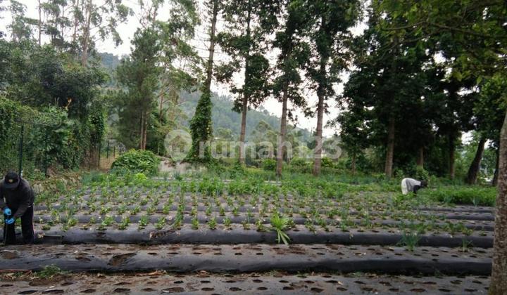 Jual Tanah di Bandung Utara 2