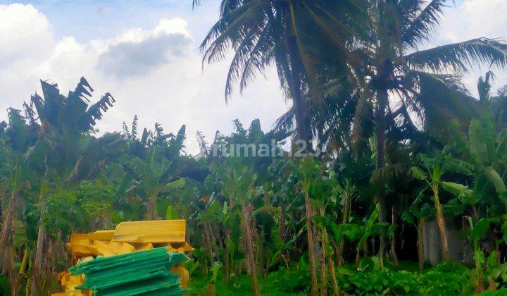 Jual Cepat Tanah 7500m2 Dekat Pik2 Di Tanjung Pasir Tangerang 10