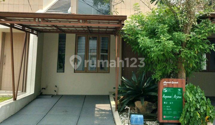 Ready View Natural Lake House