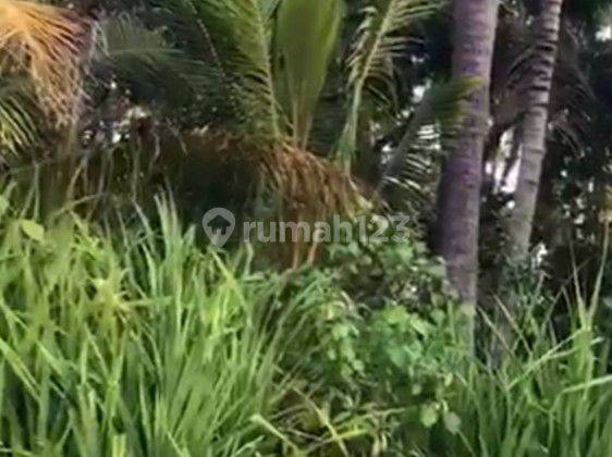 Lahan Strategis di Kota Bali Prospek Sangat Bagus 6