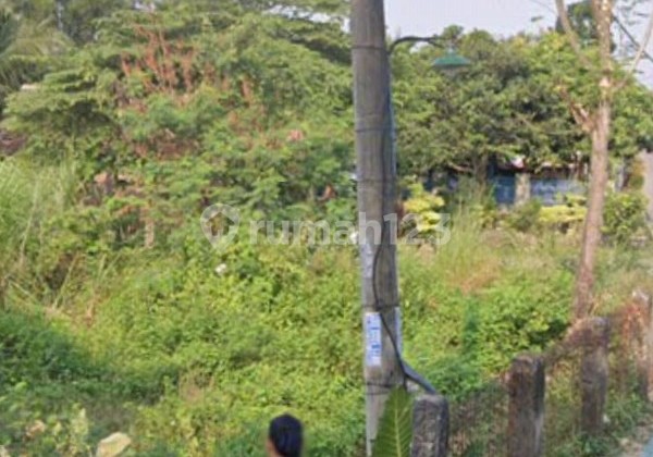 Jual Harga Rugi Rumah Dengan Lahan dan Halaman yang Luas 5