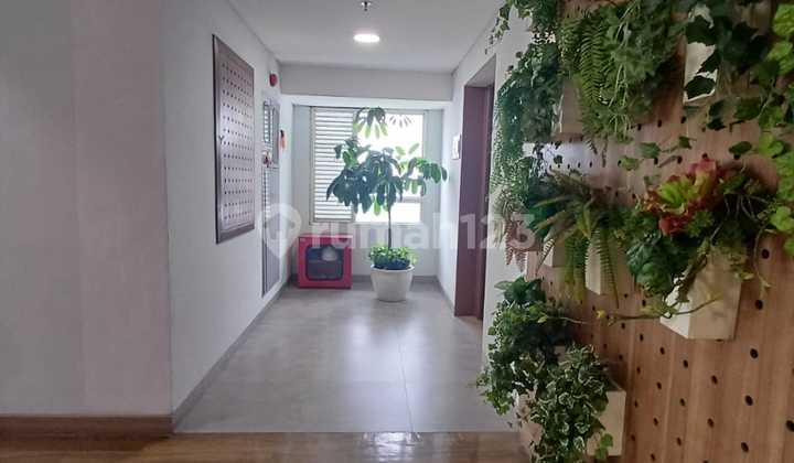 Apartemen Cantik Skandinavia Posisi Pojok Dekat Lift Tangerang City 