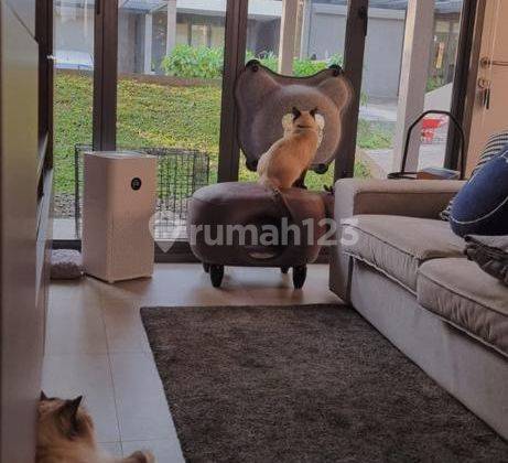 ruang keluarga dijual rumah estetik yve habitat