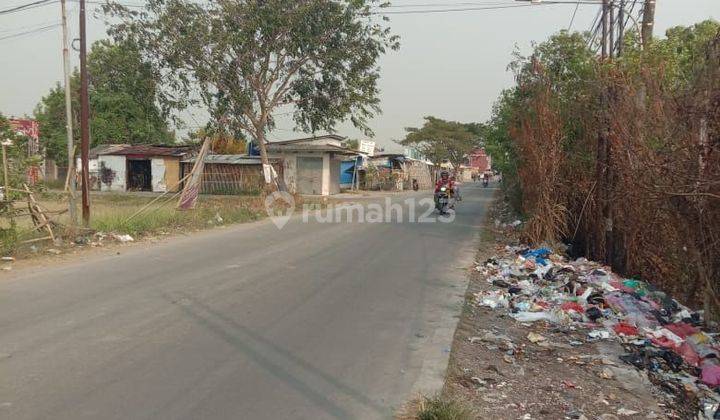 Di Jual Lahan Peruntukan Gudang Dan Pabrik Luas 3 Hektar Di Balaraja Tangerang 2