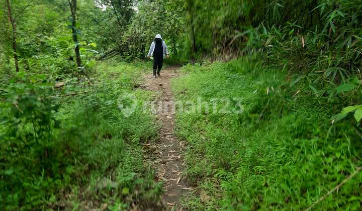 Tanah Jl Raya Sekaran, Gunung Pati, Semarang Lokasi Strategis, Dikelilingi Area Kampus2 Ternama di Semarang, Pinggir Jalan Besar, Dekat Perumahan Elit 1
