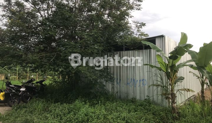 TANAH SAWAH MURAH BARAT CEBONGAN TANAH SAWAH MURAH BARAT CEBONGAN