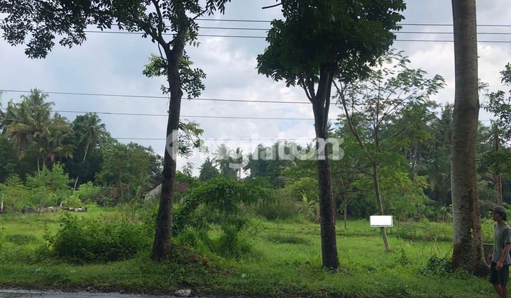 Tanah Murah di Tempel, Jl Cemoro Tempel Sleman